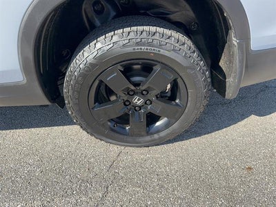 2024 Honda Ridgeline Black Edition
